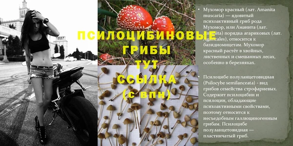 спайс Куйбышев