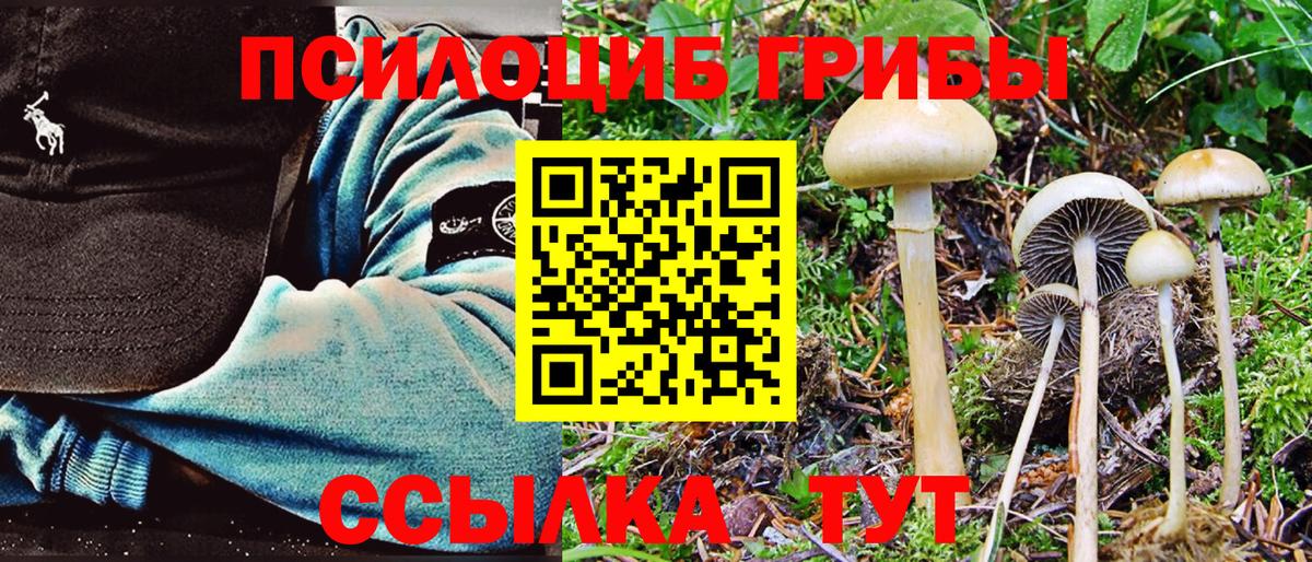 Псилоцибиновые грибы Magic Shrooms Мелеуз